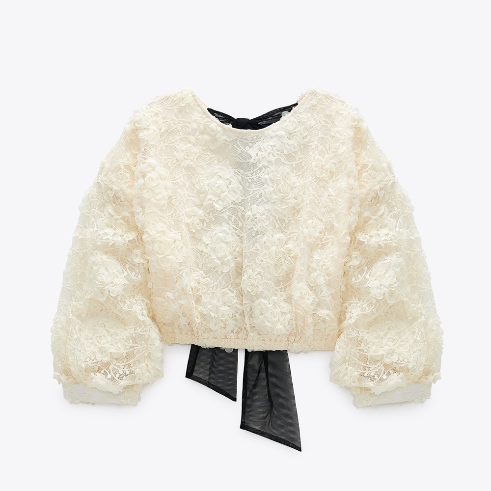 NWT Zara Organza Lace Shirt - Picture 1 of 11